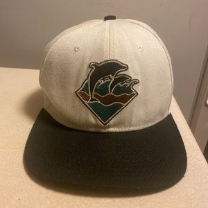 Pink Dolphin SnapBack hat